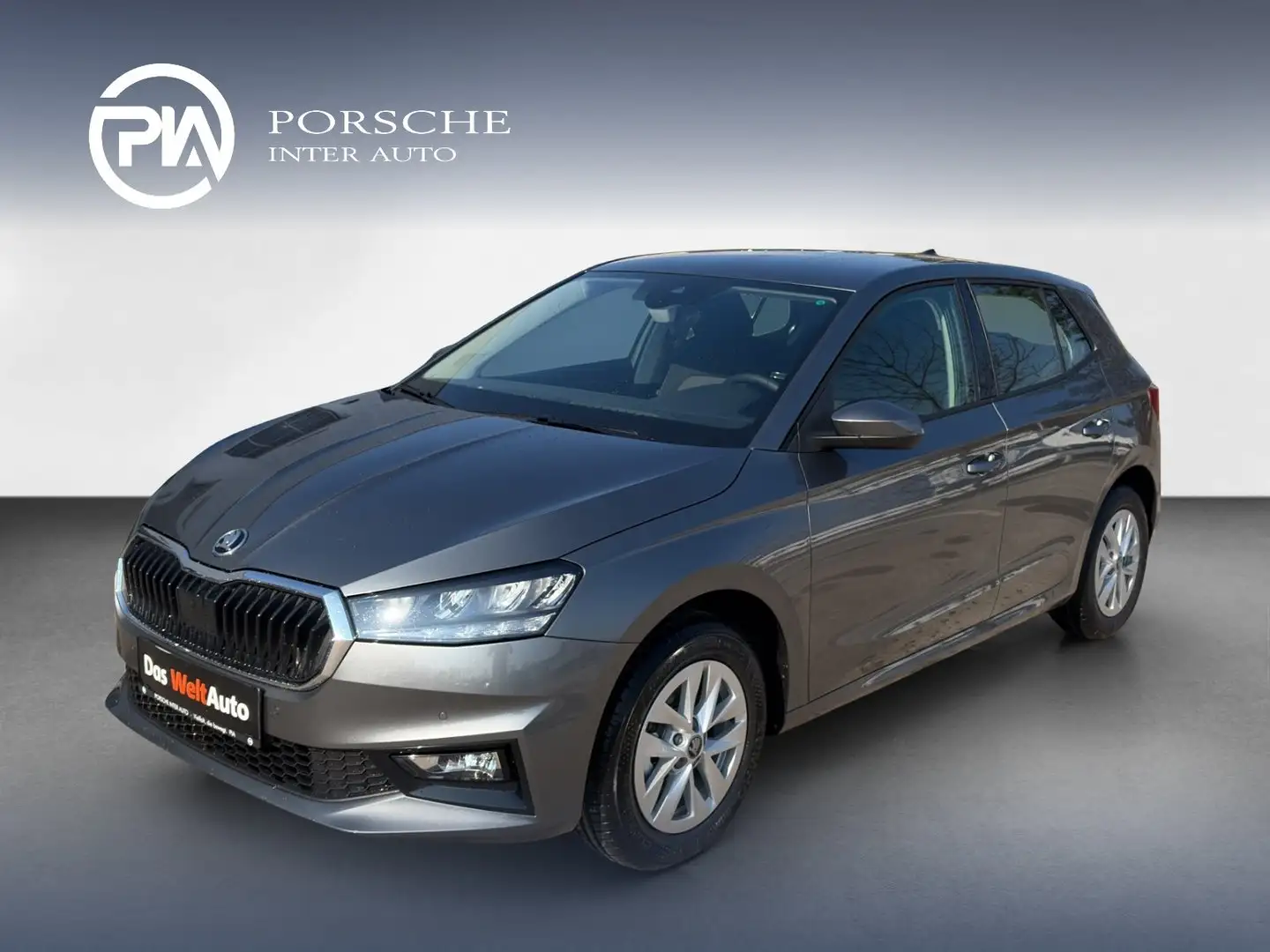 Skoda Fabia Selection TSI Grau - 1