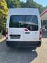 Renault Master III Kasten L3H2 HKa 3,5t Blanc - thumbnail 5