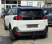 Peugeot 5008 GT LINE-7.STIZE-360 KAMERA-LEDER-DSG- Blanc - thumbnail 5