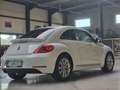 Volkswagen Beetle Beetle 1.2 TSI Design * GPS * XENON * 1ER MAIN - thumbnail 4