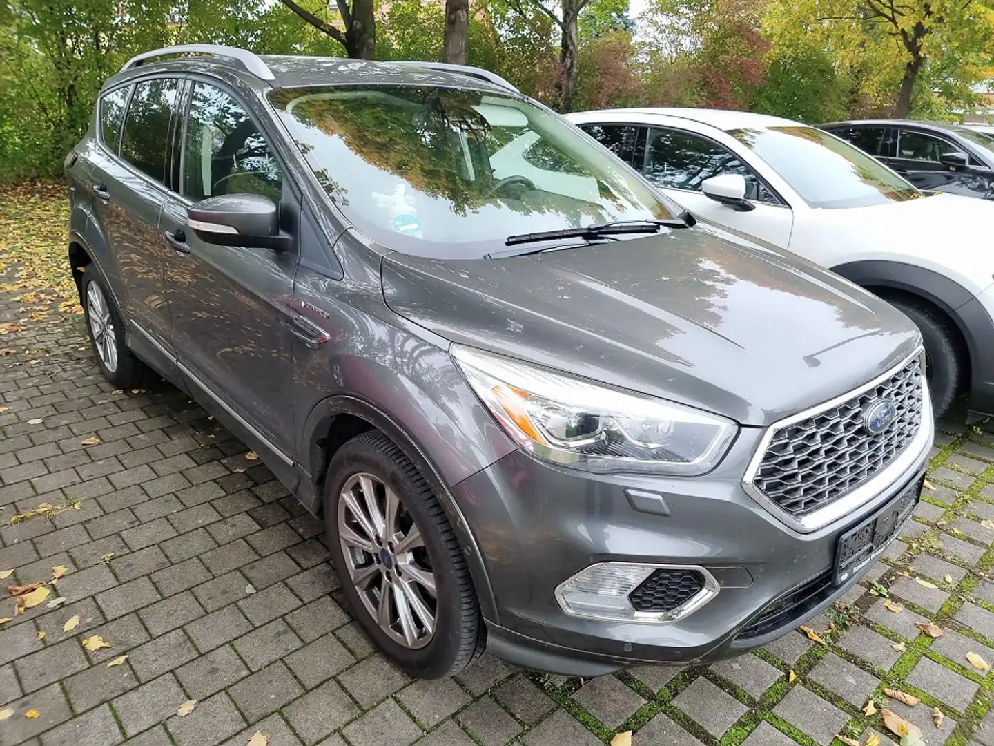 Ford Kuga 2.0 TDCi Vignale 4x4 Start/Stopp (EURO 6) Vignale Gris - 2