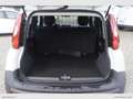 Fiat Panda 1.3 MJT S&S Pop Van 2 posti Bianco - thumbnail 14