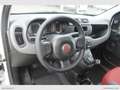Fiat Panda 1.3 MJT S&S Pop Van 2 posti Bianco - thumbnail 7