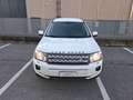 Land Rover Freelander Freelander II 2011 2.2 sd4 SE 190cv auto Blanc - thumbnail 1