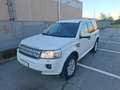 Land Rover Freelander Freelander II 2011 2.2 sd4 SE 190cv auto Blanc - thumbnail 8