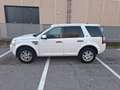 Land Rover Freelander Freelander II 2011 2.2 sd4 SE 190cv auto Blanc - thumbnail 2