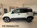Fiat Panda 1.0 FireFly S&S Hybrid Pandina Cross 5 Posti Km.0 Wit - thumbnail 7