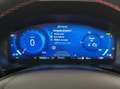 Ford Kuga Kuga 2.5 phev ST-Line 2wd 225cv cvt Gri - thumbnail 7