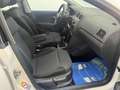 Volkswagen Polo 1.2 TDI DPF 5 p. Comfortline Blanc - thumbnail 19