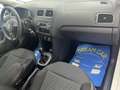 Volkswagen Polo 1.2 TDI DPF 5 p. Comfortline Blanc - thumbnail 15
