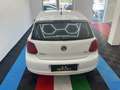 Volkswagen Polo 1.2 TDI DPF 5 p. Comfortline Blanc - thumbnail 10