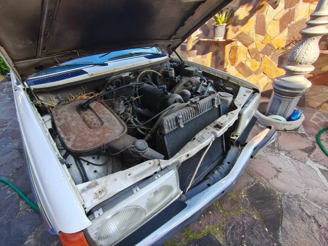 Mercedes-Benz 200, foto 1