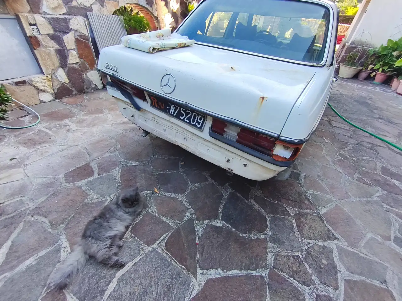 Mercedes-Benz 200, foto 2