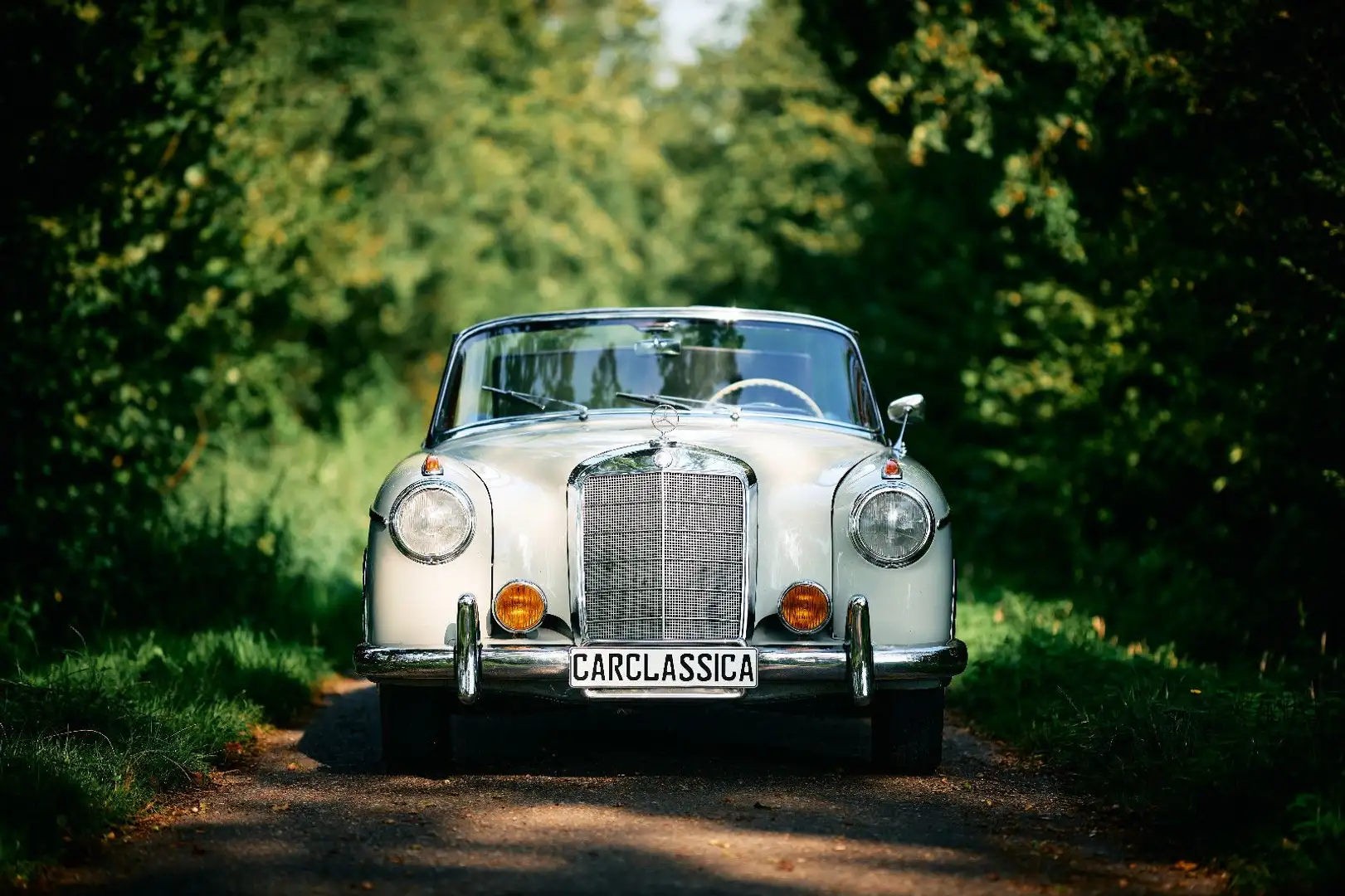 Mercedes-Benz 220 S Cabriolet (Ponton) Grey - 1