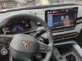 CUPRA Terramar 1.5 eTSI DSG Matri+LED+ACC+Navi+Kam. Blau - thumbnail 14