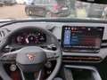 CUPRA Terramar 1.5 eTSI DSG Matri+LED+ACC+Navi+Kam. Blau - thumbnail 19
