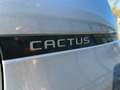 Citroen C4 Cactus 1.2 110pk PureTech Origins Navigatie|Camera|1ste E Grijs - thumbnail 29
