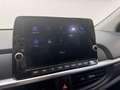 Kia Picanto 1.0 12V 5 porte Urban Beige - thumbnail 13