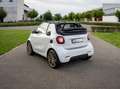smart forTwo cabrio twinamic Brabus Style Blanc - thumbnail 20