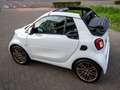 smart forTwo cabrio twinamic Brabus Style Blanc - thumbnail 12