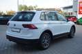 Volkswagen Tiguan 1.4 TSI DSG App-Connect Sitzheizung PDC Blanc - thumbnail 6