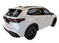 Volkswagen Tiguan 2.0 TDI R-Line 4Motion Klima Navi Leder Weiß - thumbnail 4