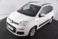 Fiat Panda Lounge *Klima*Tüv Neu* Blanc - thumbnail 4