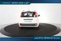 Fiat Panda Lounge *Klima*Tüv Neu* Blanc - thumbnail 18