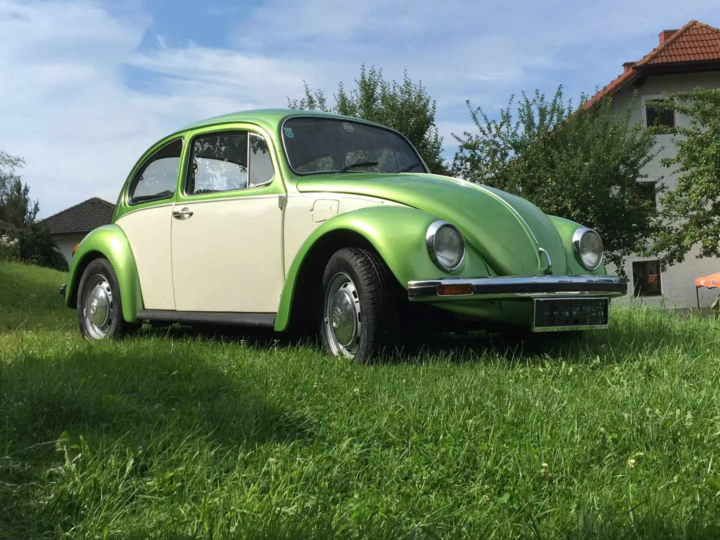 Volkswagen Käfer Grün - 1