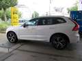Volvo XC60 D4 R Design Autom Navi/360/Leder/Memory/SHZ Blanco - thumbnail 12
