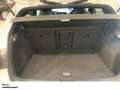Volkswagen Golf R VIII 20 YEARS 270 KM/H ACC HEAD-UP HARMAN-KARDON Blanc - thumbnail 8