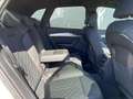 Audi SQ5 3.0 TDI quattro MMI+ AHK LED-MATRIX SH RFK Plateado - thumbnail 19