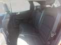 Ford Kuga 2.5 Duratec PHEV TITANIUM X Rot - thumbnail 19