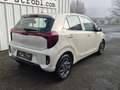 Kia Picanto 1,0 GDI Silber 4 Stz. *Bei Leasing: 17.000* Beige - thumbnail 2