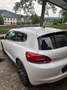 Volkswagen Scirocco Scirocco 1.4 TSI Life Weiß - thumbnail 6