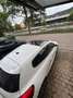Volkswagen Scirocco Scirocco 1.4 TSI Life Weiß - thumbnail 12