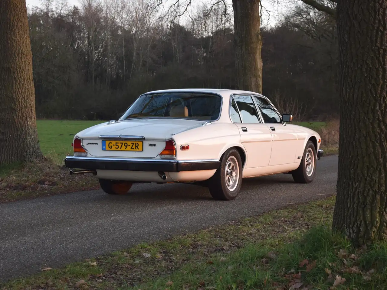 Jaguar XJ S3 4.2 Automatic Tudor White 88.444mls Y1982, foto 6