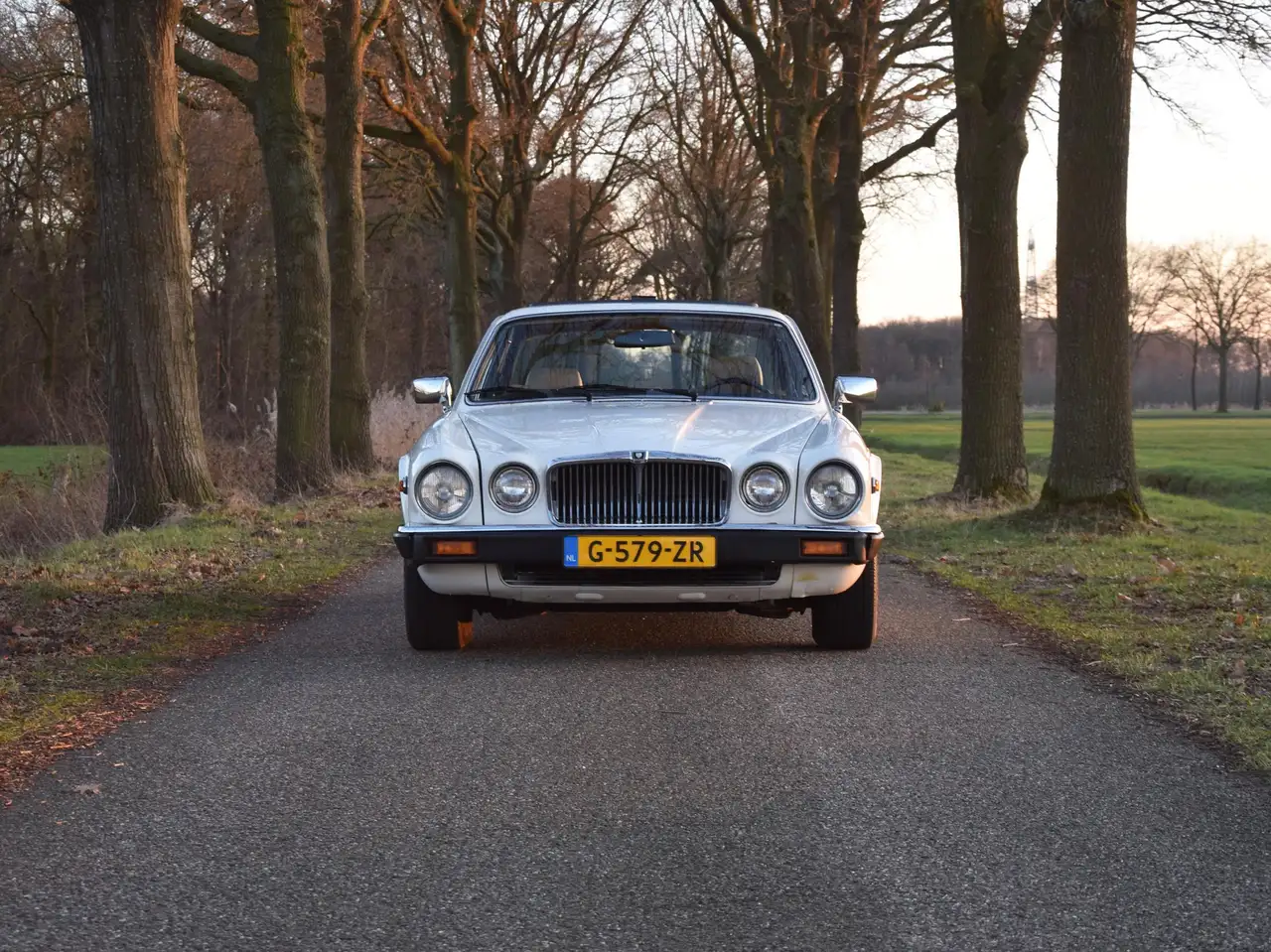 Jaguar XJ S3 4.2 Automatic Tudor White 88.444mls Y1982, foto 3