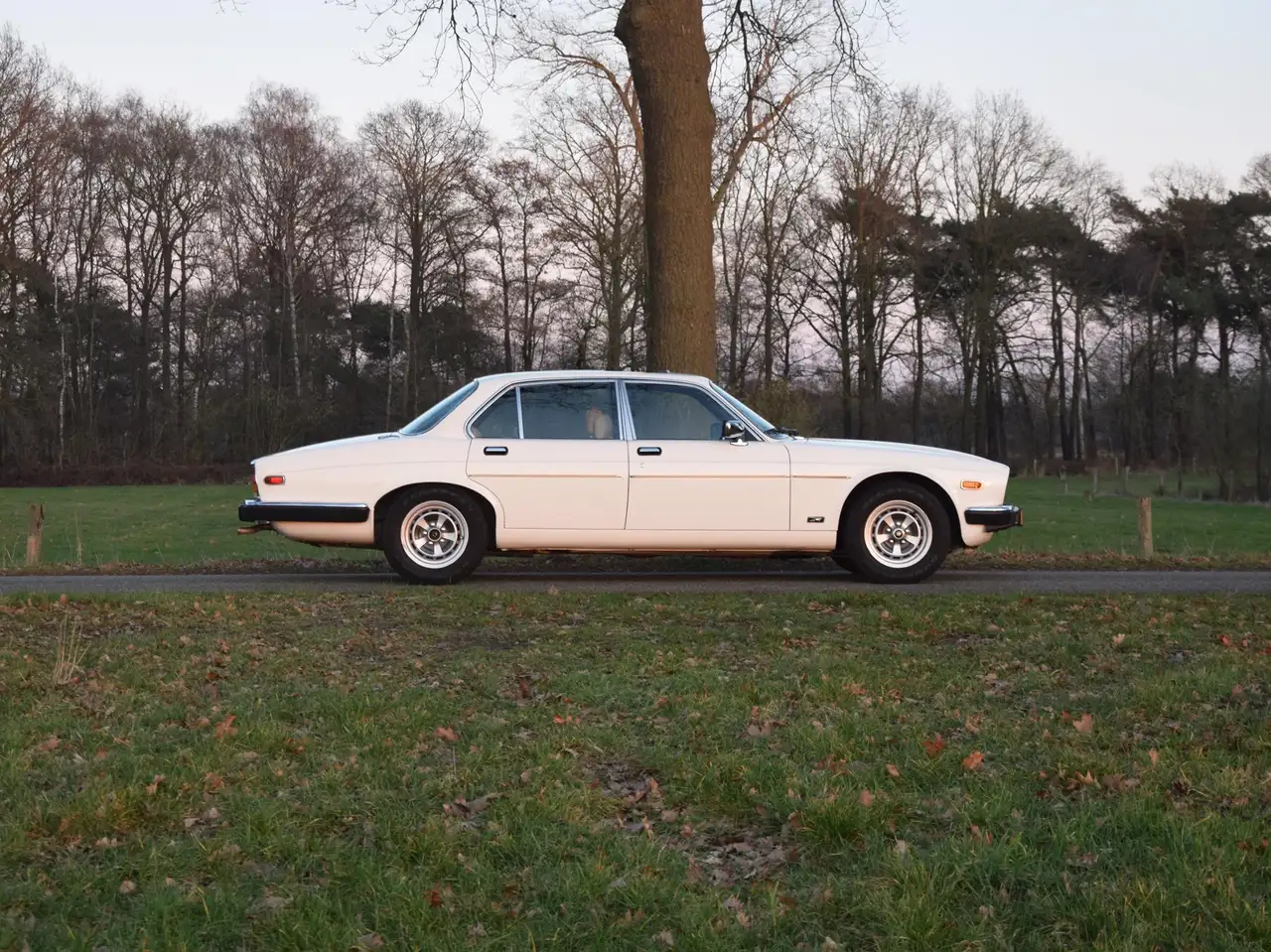 Jaguar XJ S3 4.2 Automatic Tudor White 88.444mls Y1982, foto 11