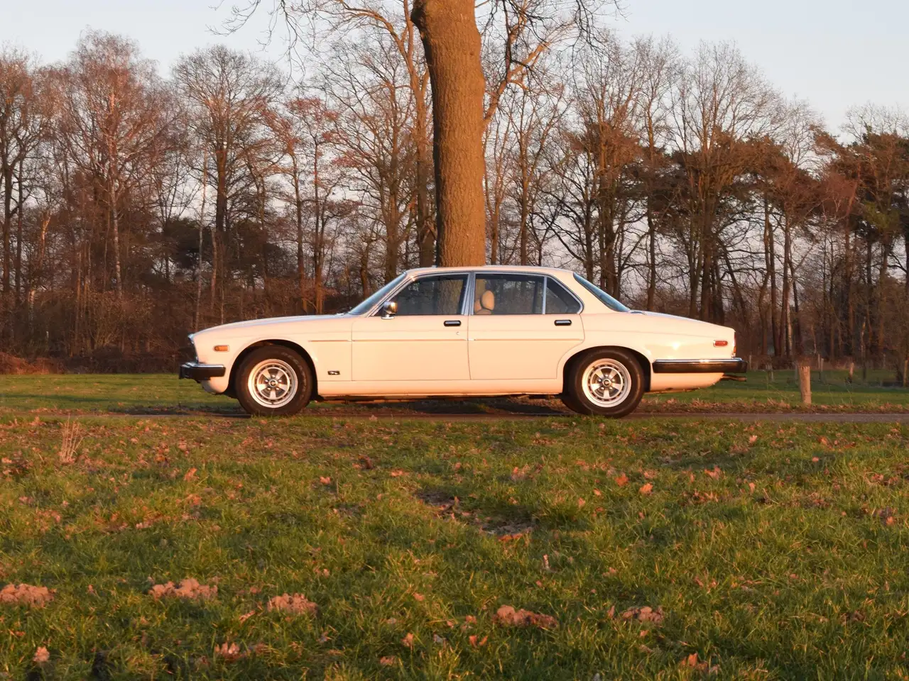 Jaguar XJ S3 4.2 Automatic Tudor White 88.444mls Y1982, foto 1