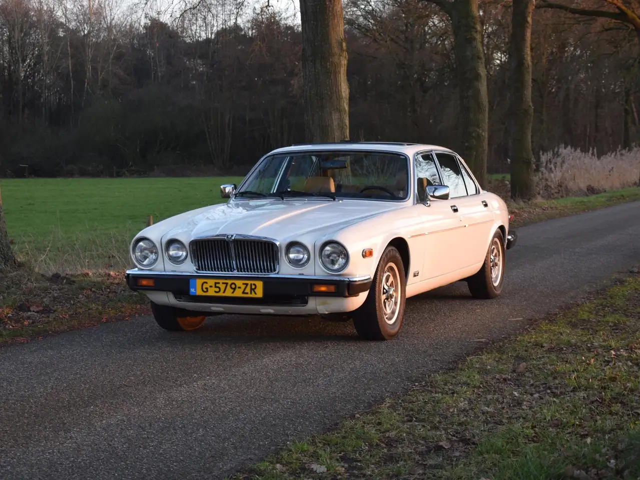 Jaguar XJ S3 4.2 Automatic Tudor White 88.444mls Y1982, foto 7