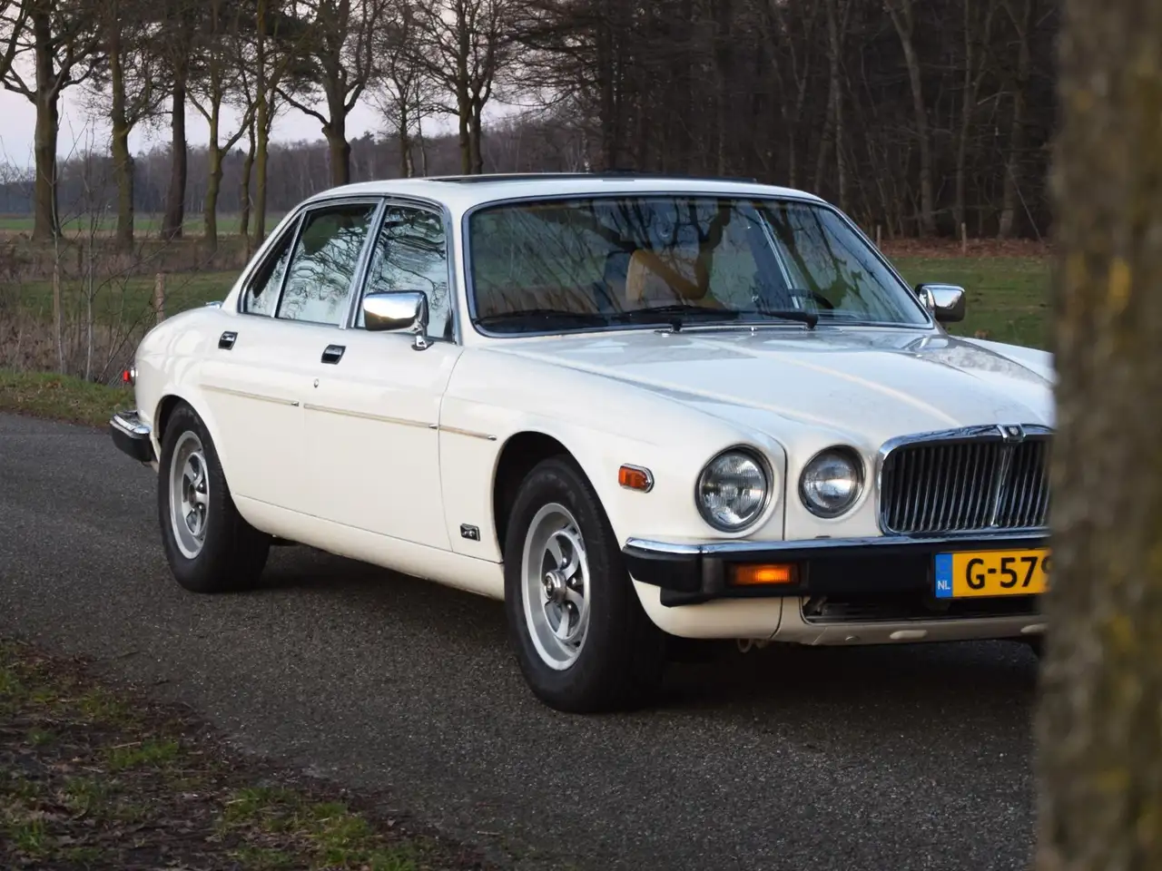 Jaguar XJ S3 4.2 Automatic Tudor White 88.444mls Y1982, foto 9