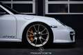 Porsche 911 GT2 RS 145 of 500 EXP € 698.980,- Alb - thumbnail 8
