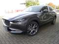 Mazda CX-30 e-SKYACTIV-G X 186ps Takumi GRATIS WINTERRÄDER Gris - thumbnail 16