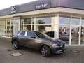 Mazda CX-30 e-SKYACTIV-G X 186ps Takumi GRATIS WINTERRÄDER Gris - thumbnail 1