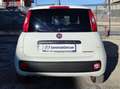Fiat New Panda VAN 1.3 M-JET 2 POSTI POP - 2017 Белый - thumbnail 4