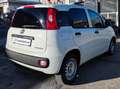 Fiat New Panda VAN 1.3 M-JET 2 POSTI POP - 2017 Белый - thumbnail 3