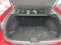 Mazda 6 Mazda6 2.2L Skyactiv-D 150CV Wagon Evolve Rosso - thumbnail 13