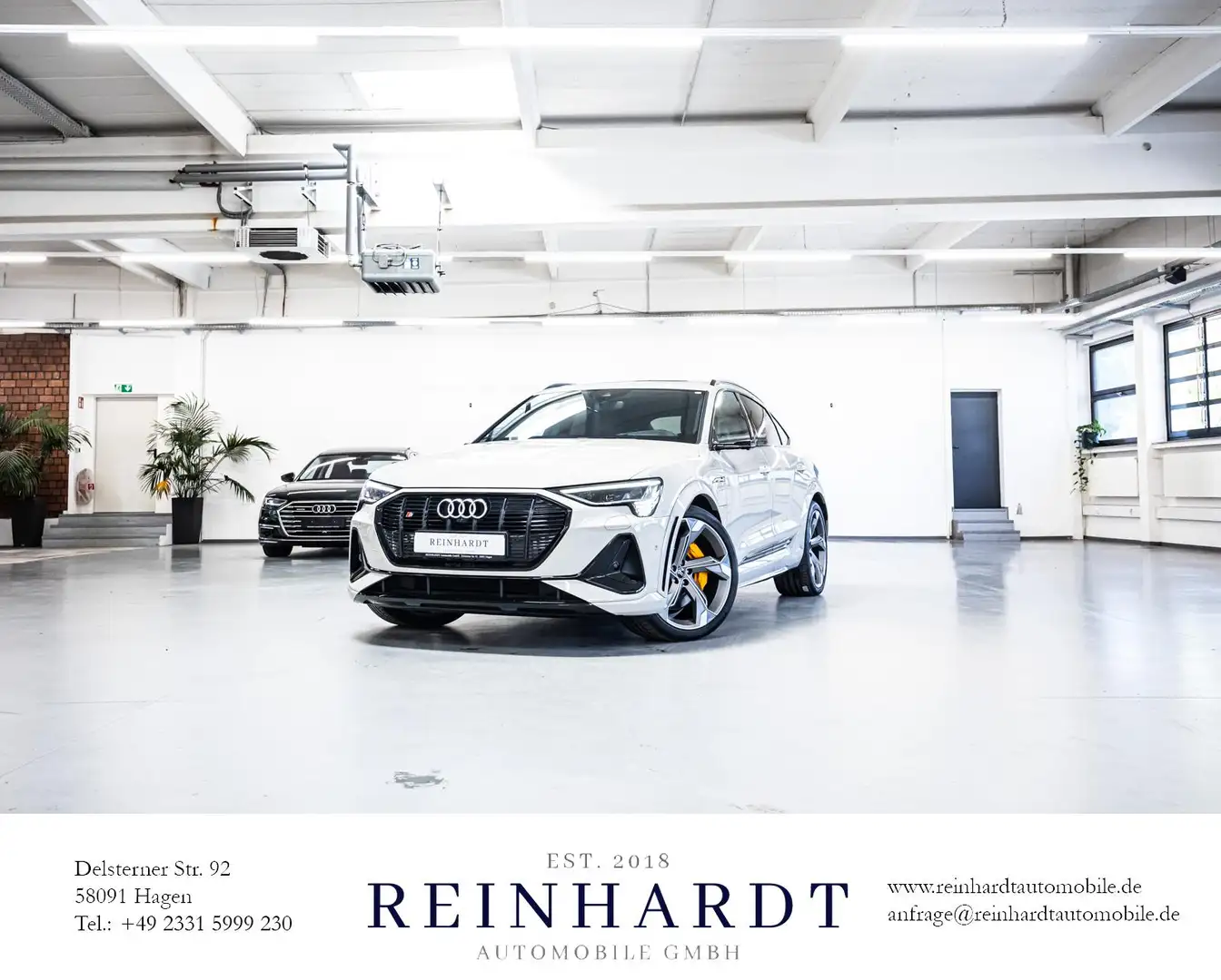Audi e-tron SPORTBACK S DIG-MTRX/ACC/HuD/NACHT/PANO Beige - 1