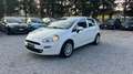 Fiat Punto Punto 5p 1.3 mjt N1 Bianco - thumbnail 3